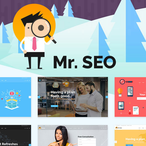 Mr. SEO | SEO, Marketing Agency and Social Media Theme