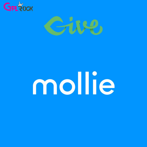 Give – Mollie Payment Gateway