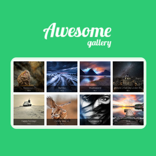Awesome Gallery - Instagram, Flickr, Facebook galleries on your site