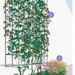 Jardin-Vertical-Trepadoras-150×150 Jardin-Vertical-Trepadoras-150x150